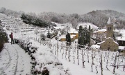 15 Tra i vigneti di Sant'Egidio...